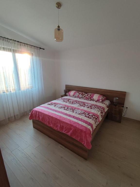 Бар: Guest House Tomba