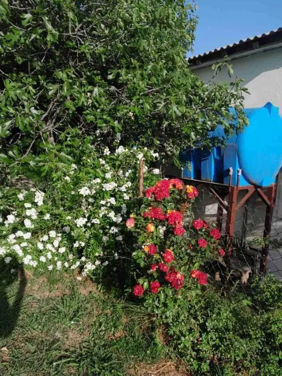 Бар: Apartmani La Vi