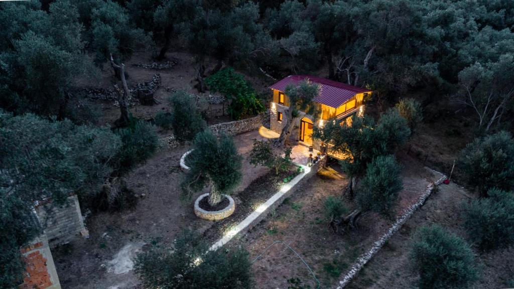 Ульцинь: Olive Treasure