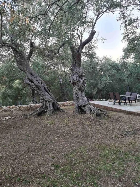 Ульцинь: Olea Cottage
