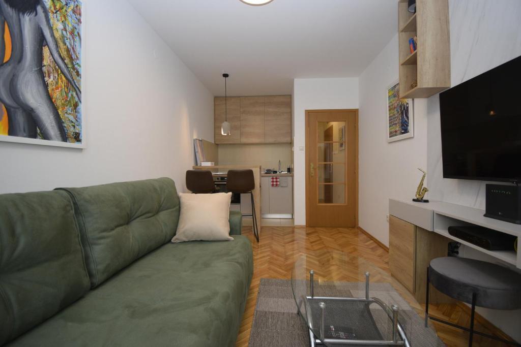 Подгорица: Studio apartment Art Zone
