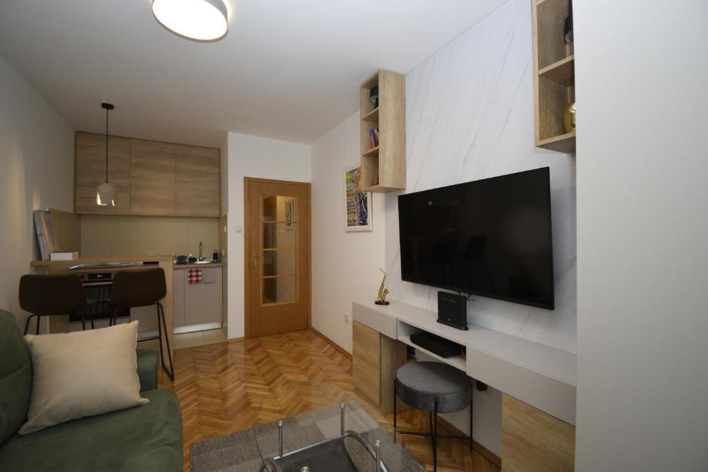 Подгорица: Studio apartment Art Zone