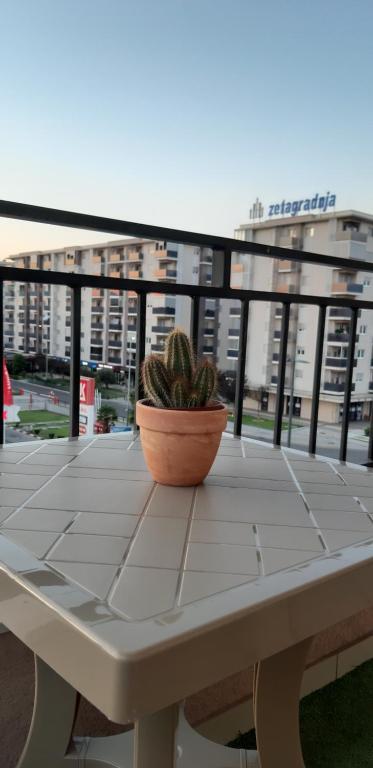 Подгорица: Studio Place