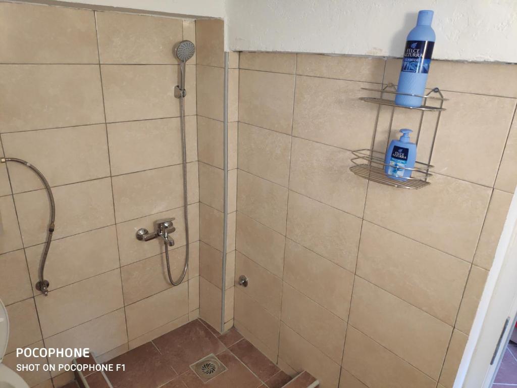 Вирпазар: Apartman Pavle 2