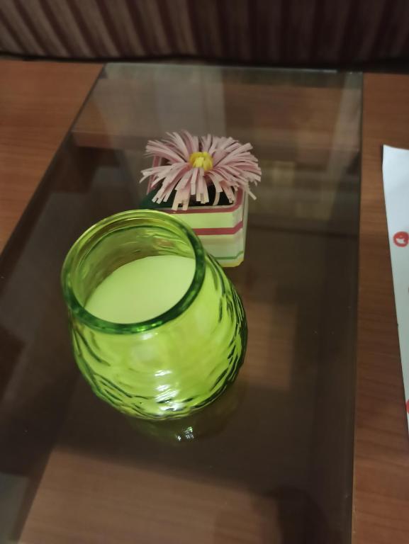 Подгорица: Apartman 95