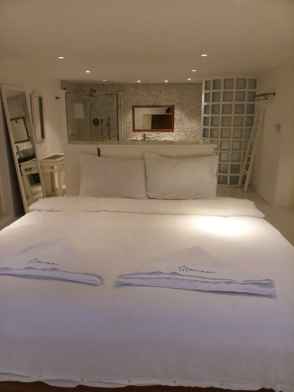 Bluecoconut Resort — фото 1