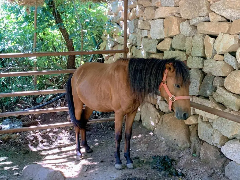 Пекин: Moon Boutique Holiday Homestay