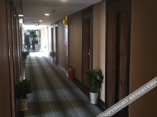 TP  E-sports Hotel (Wuhan Xianggang Road) — фото 1
