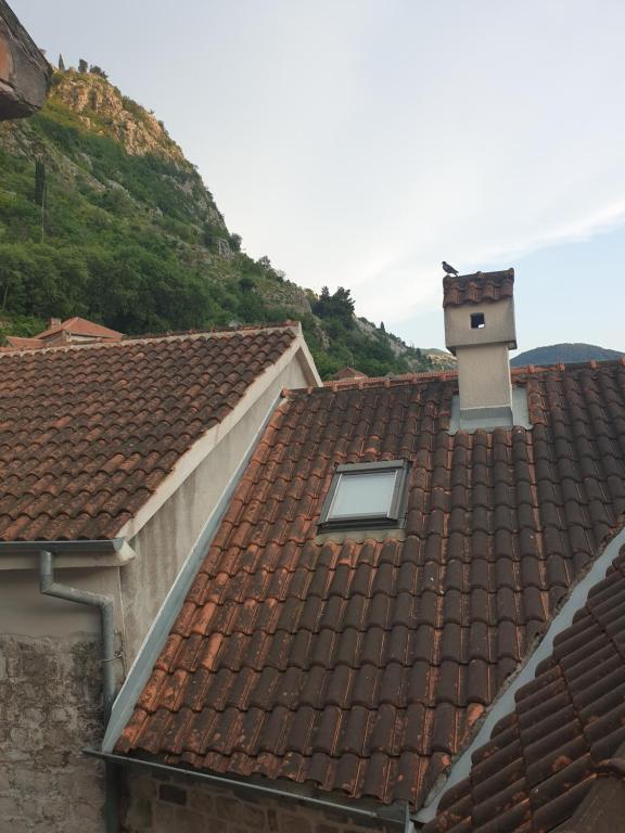 Доброта: Nova dvokrevetna soba sa dva odvojena kreveta i zajedničkim kupatilom