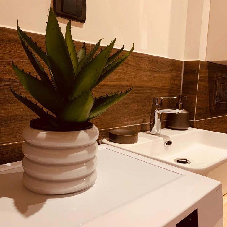 Горни Стой (Штойи и Эпермь): ADA BEACH HOUSE mit Wasserzugang