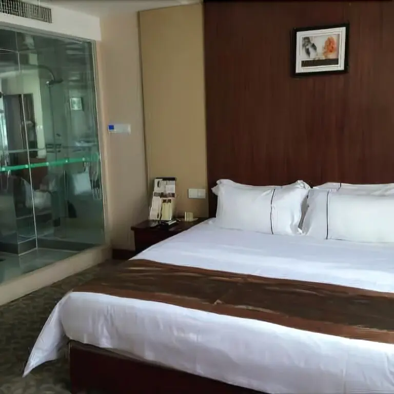 Ичунь: Zhao Ri International Hotel