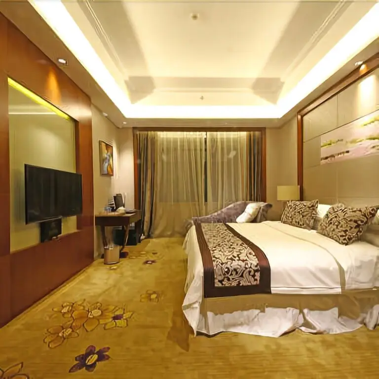 Чунцин: Shuiyun Hotel