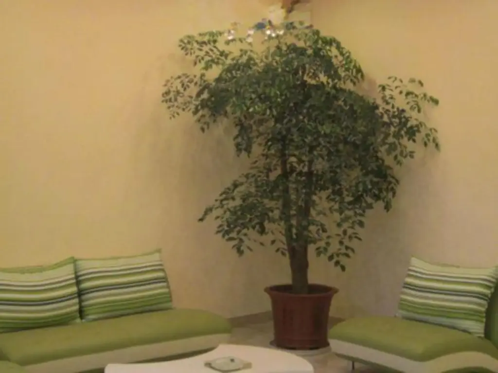 Ханчжоу: Heng 8 Hotel Hangzhou Xiaoshan Airport