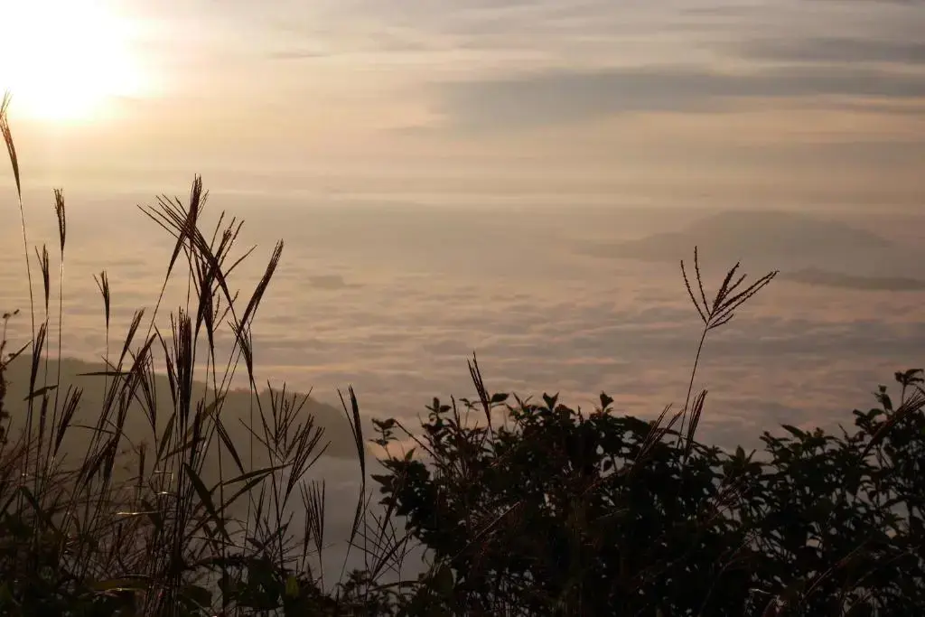Тап-Тао: Phu Plai Fah
