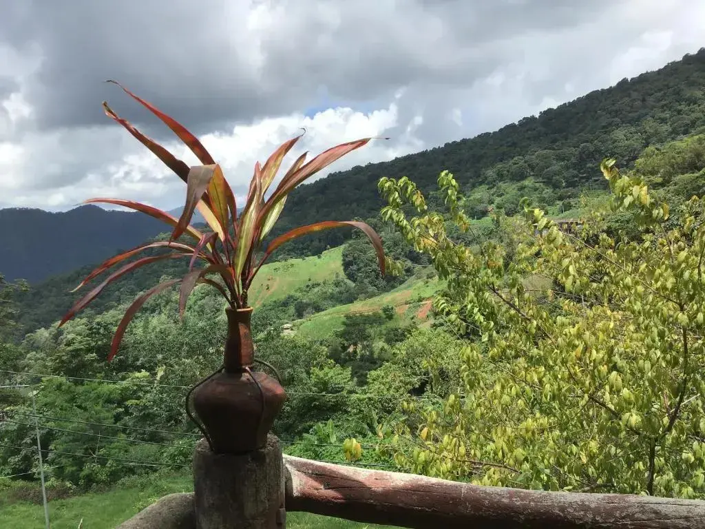 Тап-Тао: Phu Plai Fah