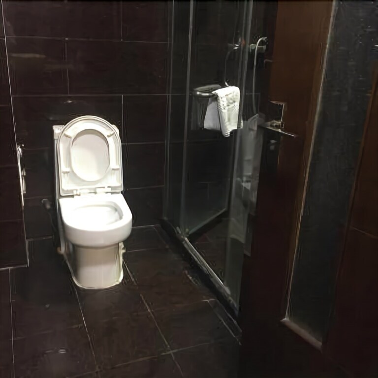 Мяньян: Zitong Furuilai Hotel