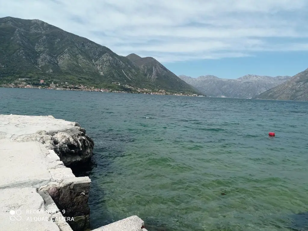 Доброта: Apartman Milena 1