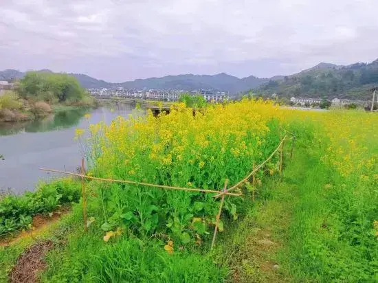 Уюань: Wuyuan Wanling Inn (Jiangwan Scenic Area)