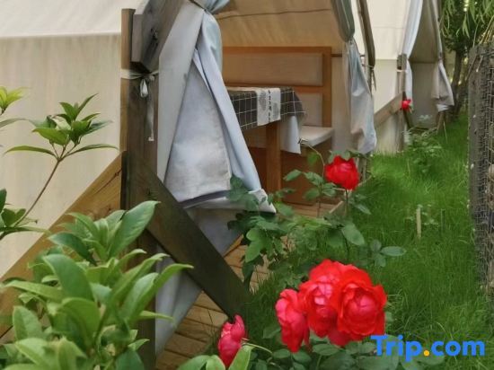 Лицзян: Silent bed and breakfast in Lugu Lake