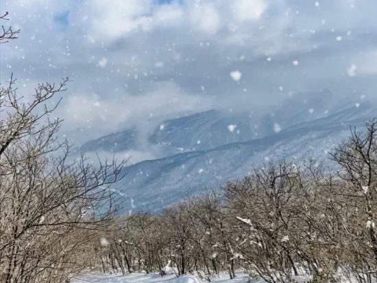 Хучжоу: Shanfeng Zhuyun Parent-child Mountain Yexipan Travel Viewing