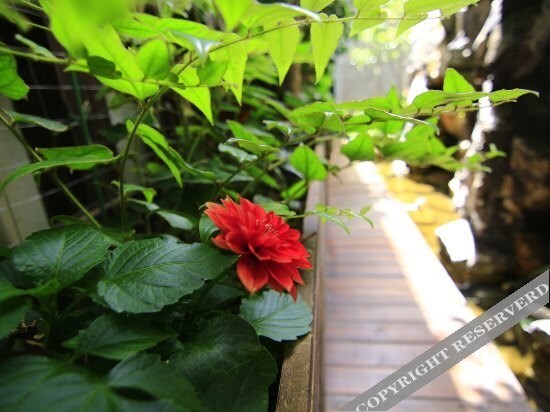 Лицзян: Lijiang Mufu Homeyard Thousand City Scenic Spots Holiday Villa