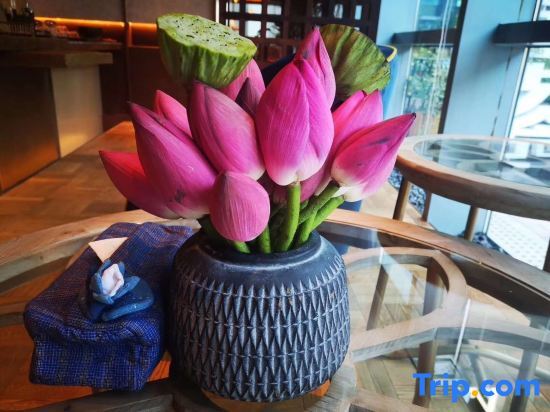 Пекин: Beijing Tiantan Manxin Hotel