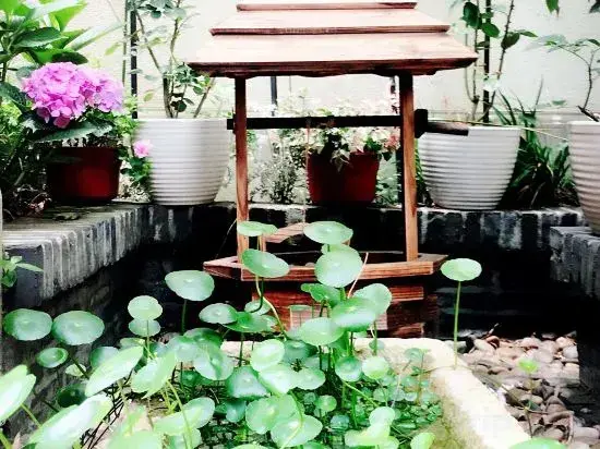 Цзясинь: Xitang Houyuanli Hotel (Songzilai Fengqiao Branch)