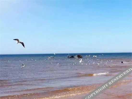 Джухуа: Juehua Island Family Hotel