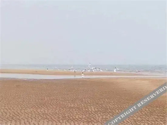 Джухуа: Juehua Island Family Hotel