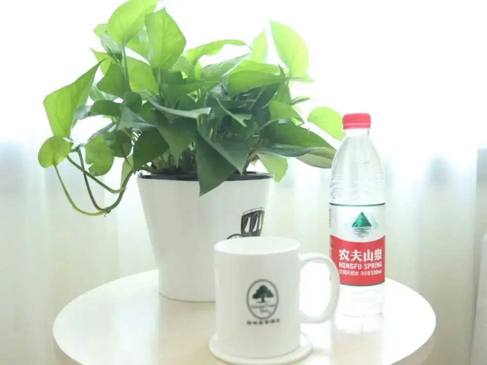 Тяньцзинь: GreenTree Inn Tianjin Jinnan District Xianshui Guyuetan Express Hotel