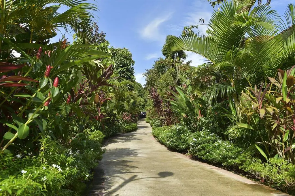 остров Фукуок: Rain Forest Resort Phu  Quoc
