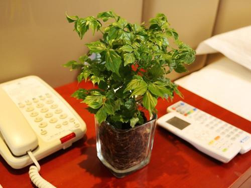 Шанхай: GreenTree Inn ShangHai Gongkang Express Hotel