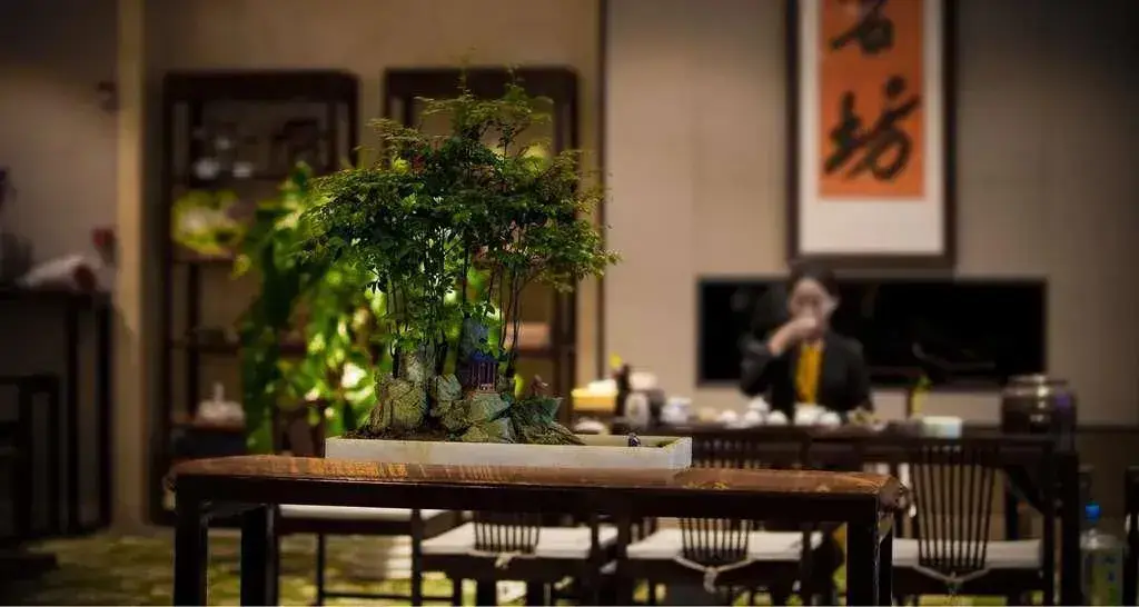 Сучжоу: Best Western Plus Zhongsheng Hotel Lingbi
