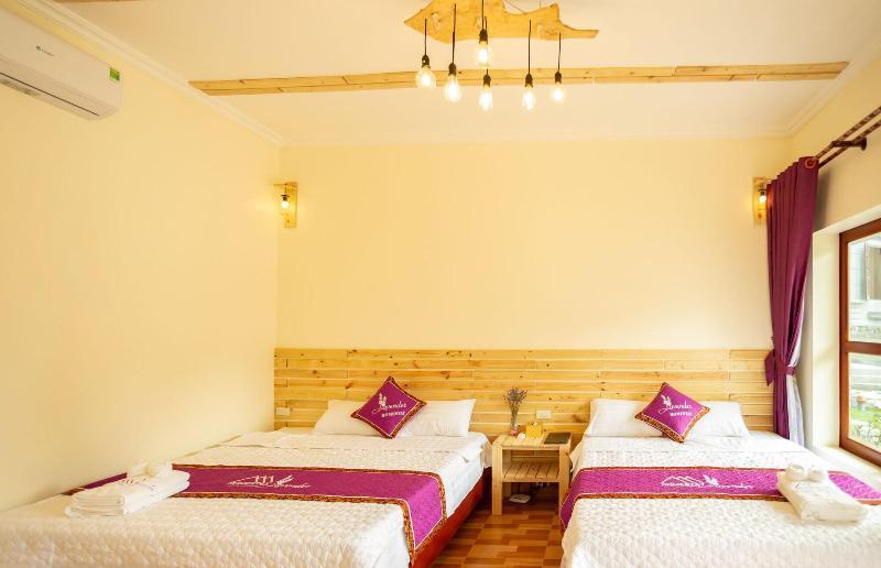 Хоа Лу: Tam Coc Lavender Homestay