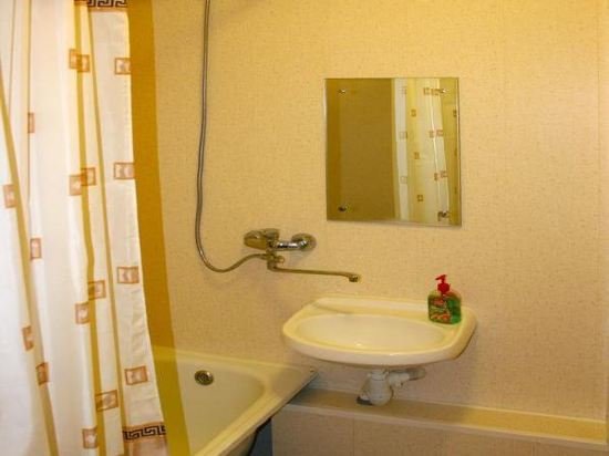 Воронеж: Alex Apartments Victory Boulevard