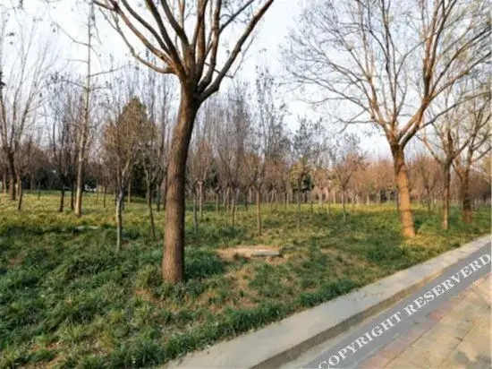 Чжэнчжоу: Zhengzhou Zhuolin Express Hotel (Henan Cancer Hospital)