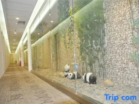 Чэнду: Hanting Hotel (Chengdu Kuanzhai Alley)