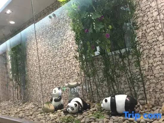 Чэнду: Hanting Hotel (Chengdu Kuanzhai Alley)