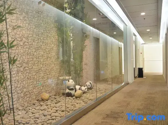 Чэнду: Hanting Hotel (Chengdu Kuanzhai Alley)