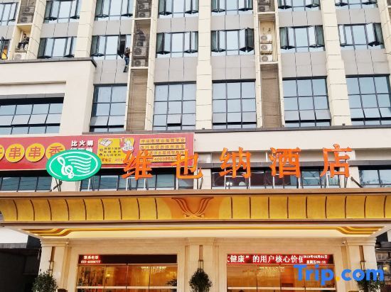 Vienna Hotel (Chongqing Qijiang Wanda Plaza) — фото 1