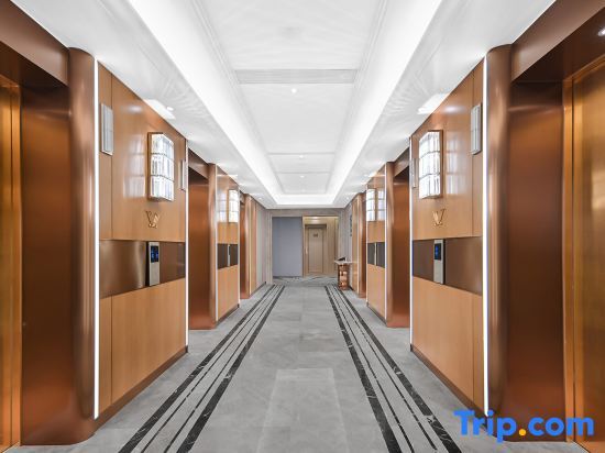Чунцин: Vienna International Hotel