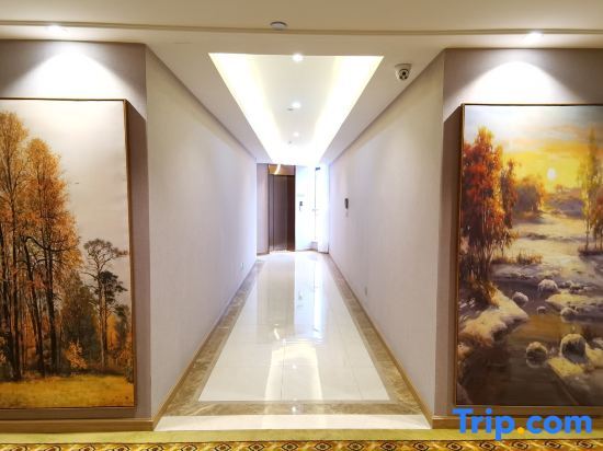 Аньшунь: Vienna Hotel ( Anshun Nanma Plaza 302 Hospital Branch)