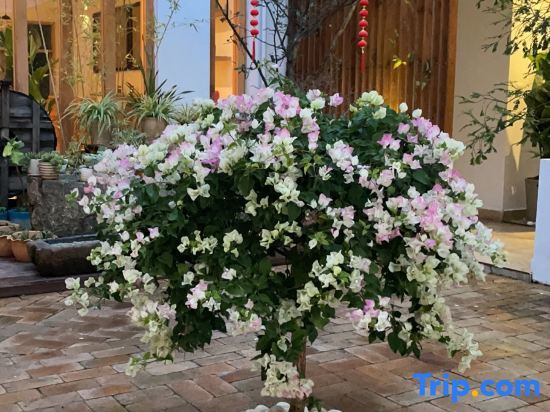 Дали: Shuanglang Yuji Island Banshan Banshui Seaview Inn