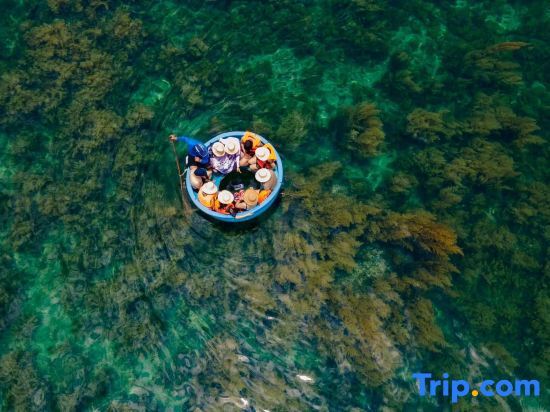 Куинён: The Beach -FLC Sea Tower Quy Nhon