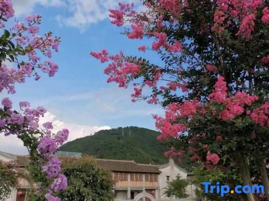 Мейчжу: MeiZhou JZL  B & B
