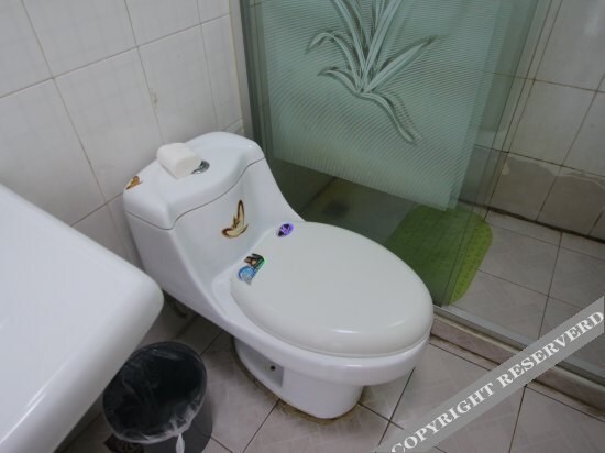 Шанхай: 翔远大酒店(上海浦东机场店)