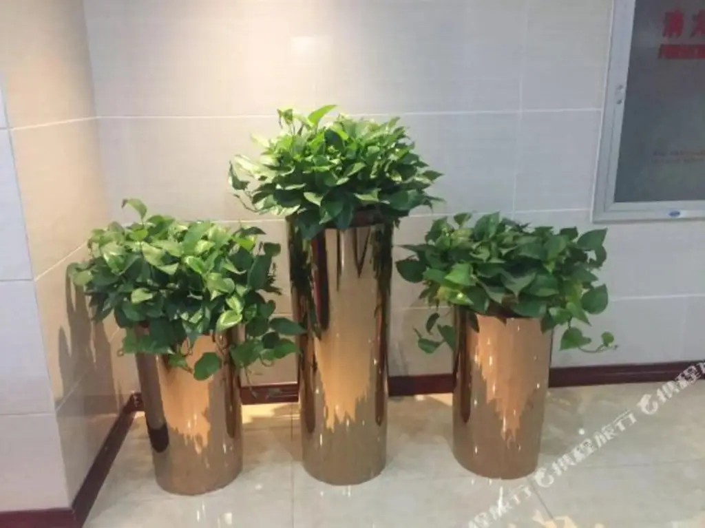 Ухань: Zhaofeng Business Hotel (Wuhan University Provincial Women's and Children's Branch)