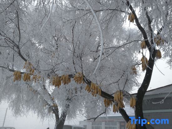 Цзилинь: Jiangbian Renjia Sheying Jidi Inn