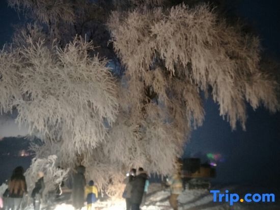 Цзилинь: Jiangbian Renjia Sheying Jidi Inn
