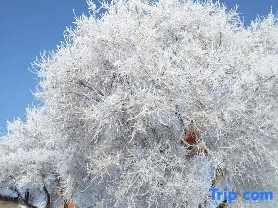 Цзилинь: Jiangbian Renjia Sheying Jidi Inn